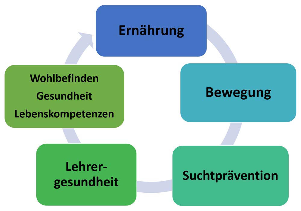 Gesunde Schule - Diagramm